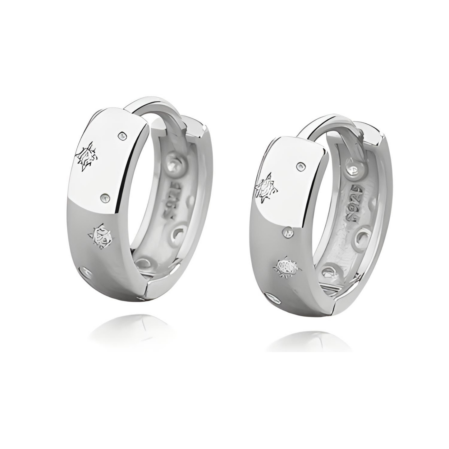 ARGOLLAS DE PLATA DESTELLOS.